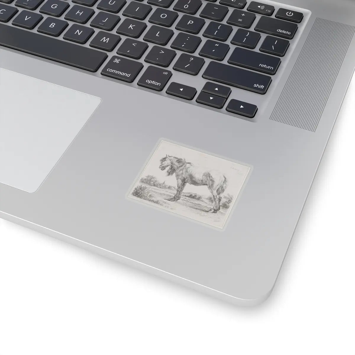SKU:TSS-STICK-DMVN-2X2-13RVH Sizes:2" × 2" Types:Transparent
