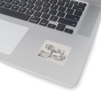 SKU:TSS-STICK-DMVN-2X2-13RVH Sizes:2" × 2" Types:Transparent