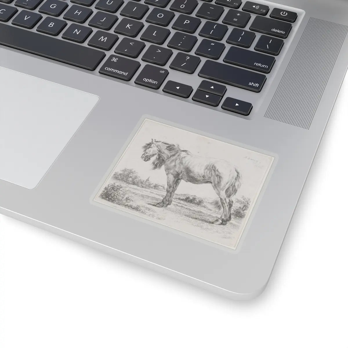 SKU:TSS-STICK-DMVN-3X3-13RVH Sizes:3" × 3" Types:Transparent