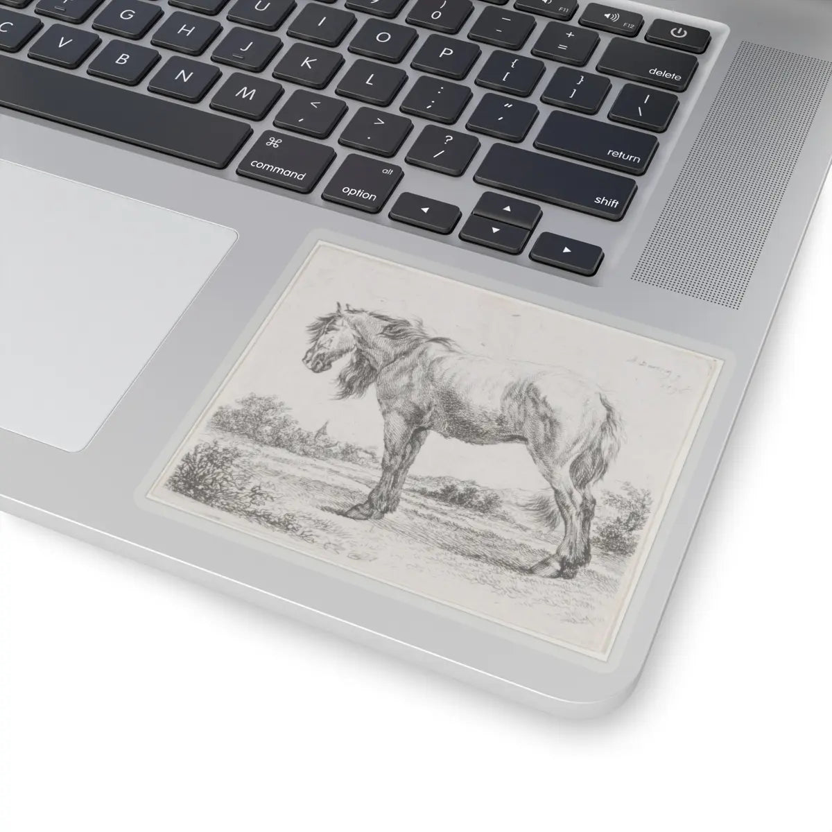 SKU:TSS-STICK-DMVN-4X4-13RVH Sizes:4" × 4" Types:Transparent