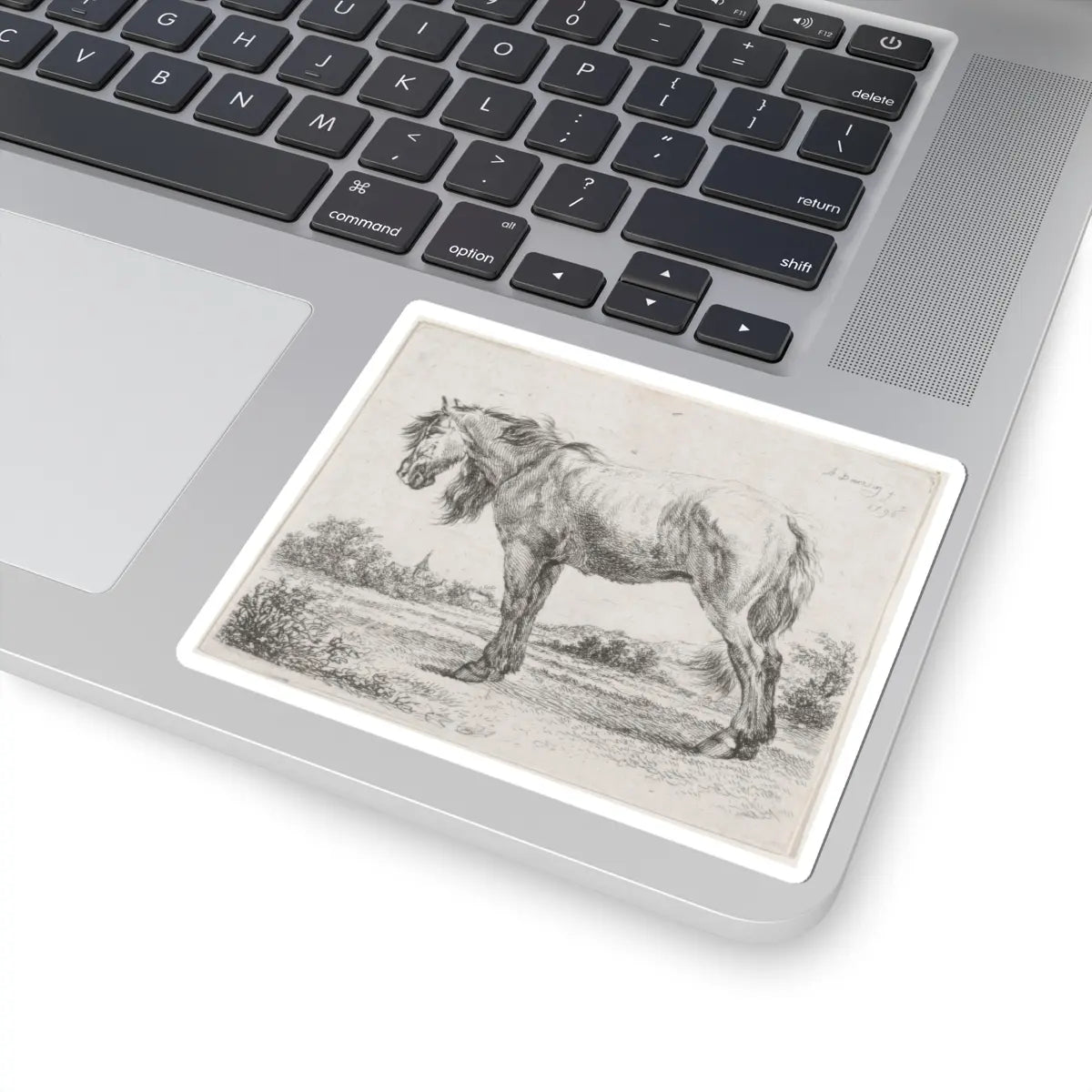 SKU:TSS-STICK-DMVN-4X4-9 Sizes:4" × 4" Types:White