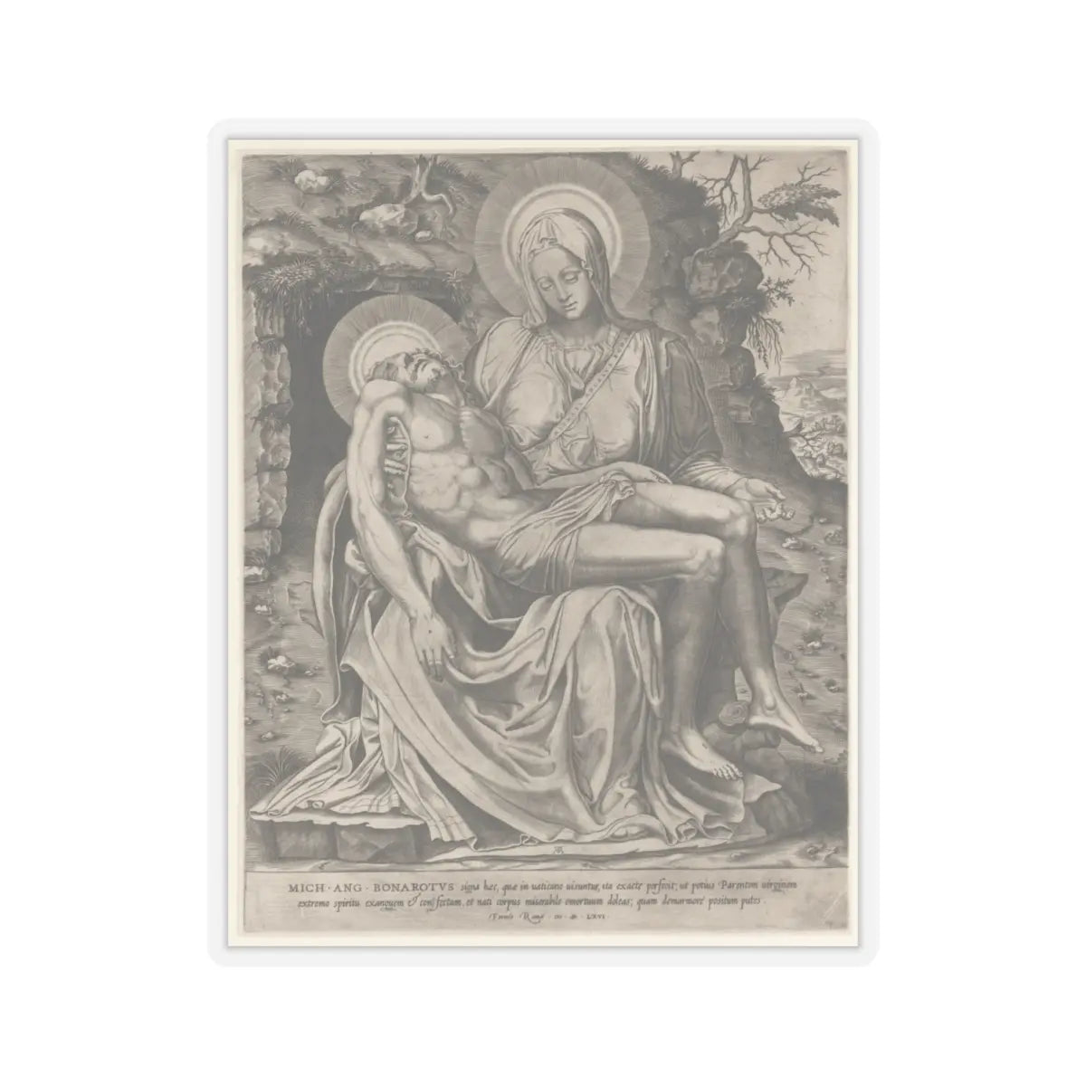 SKU:TSS-STICK-DMGHS-4X4-13RW3 Sizes:4" × 4" Types:Transparent