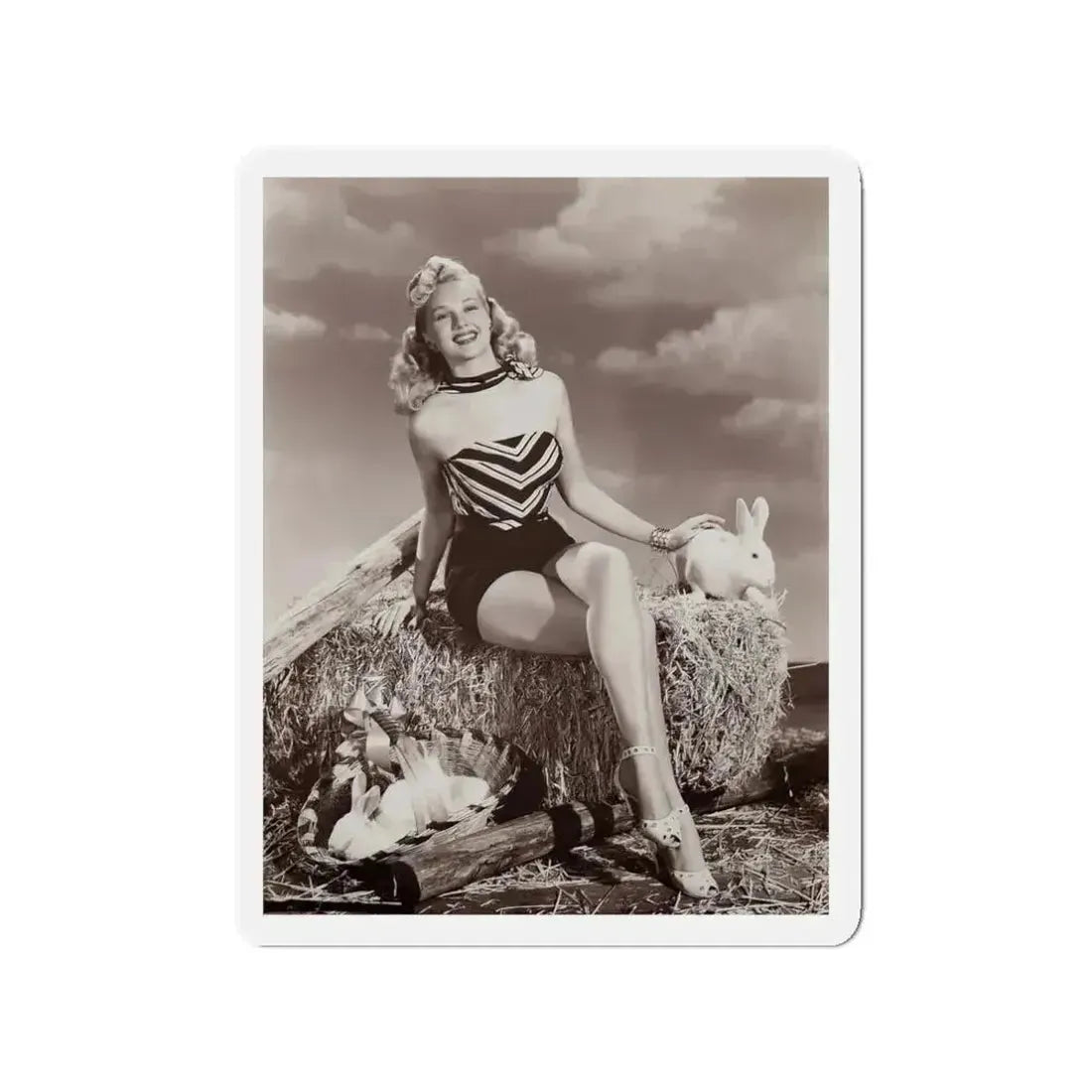 Adele Jergens #23 (Vintage Female Icon) Refrigerator Magnet - The Sticker Space