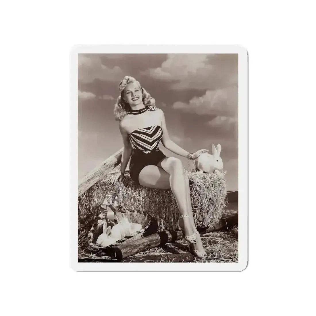 Adele Jergens #23 (Vintage Female Icon) Refrigerator Magnet - The Sticker Space