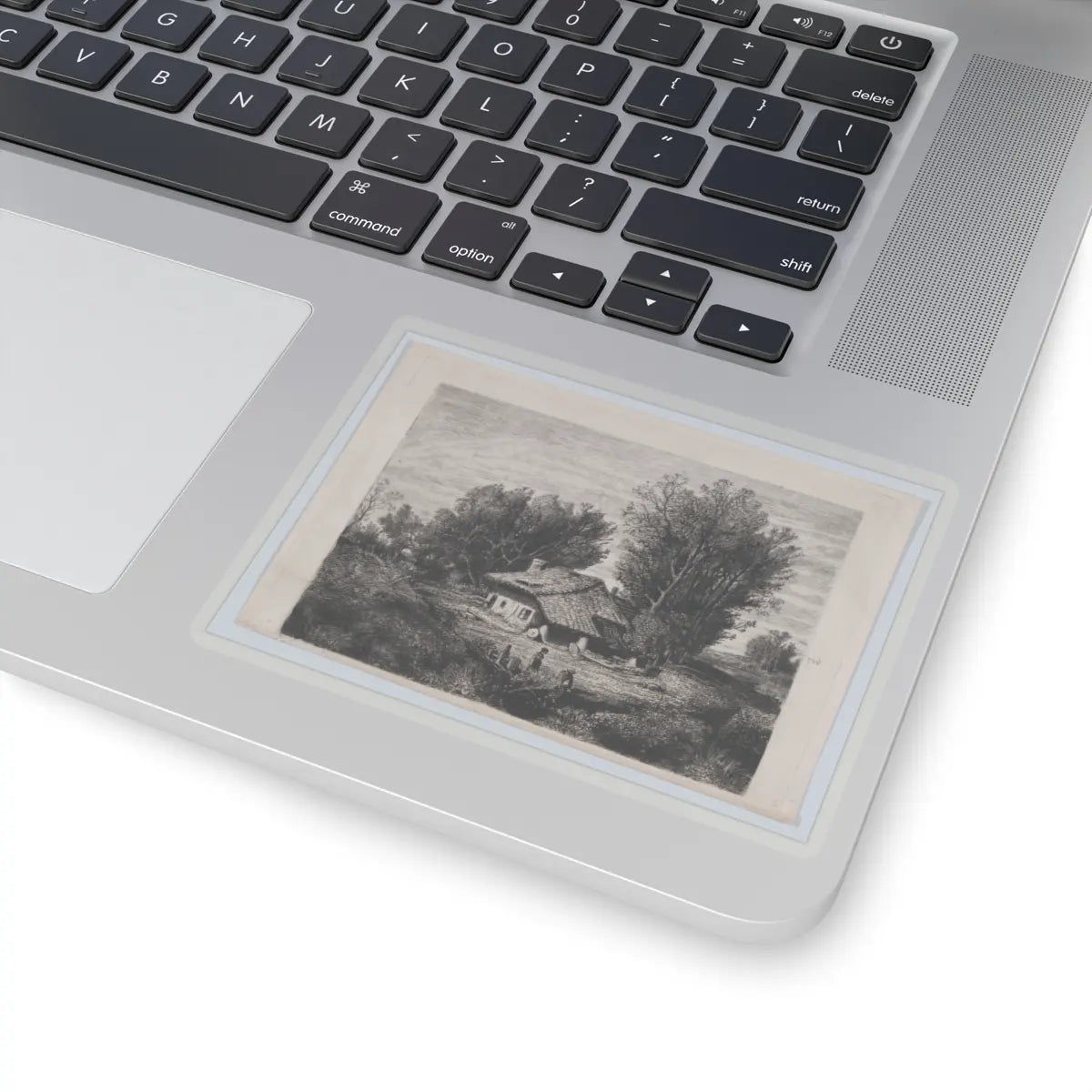 SKU:TSS-STICK-DLPBLF-4X4 Sizes:4" × 4" Types:Transparent