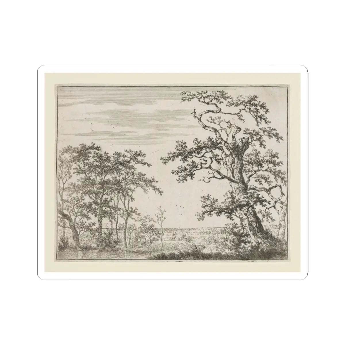SKU:TSS-STICK-DRNHND-4X4-13RYB Sizes:4" × 4" Types:White