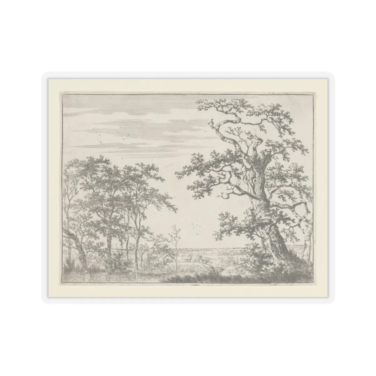 SKU:TSS-STICK-DRNHND-4X4 Sizes:4" × 4" Types:Transparent