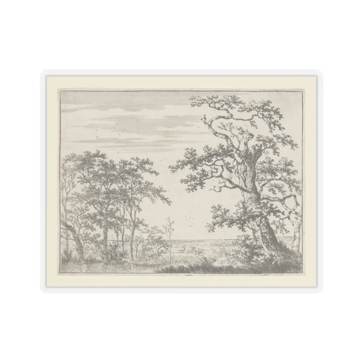 SKU:TSS-STICK-DRNHND-6X6 Sizes:6" × 6" Types:Transparent