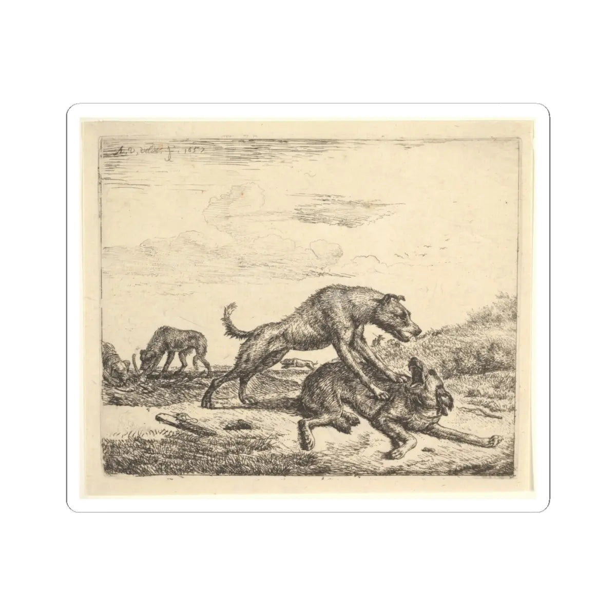 SKU:TSS-STICK-DRNVN-6X6-2 Sizes:6" × 6" Types:White
