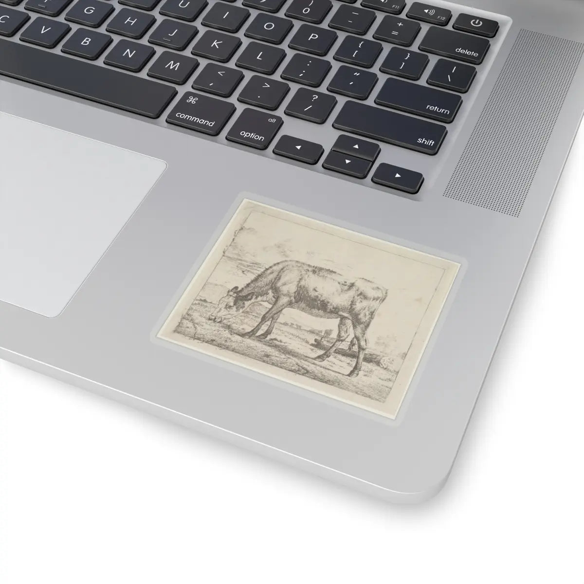 SKU:TSS-STICK-DRNVN-3X3-13RYJ Sizes:3" × 3" Types:Transparent