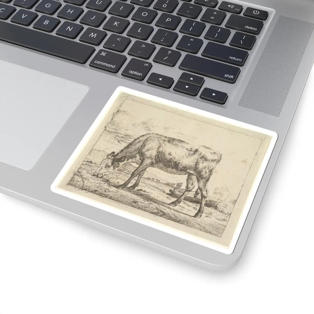 SKU:TSS-STICK-DRNVN-4X4-3 Sizes:4" × 4" Types:White