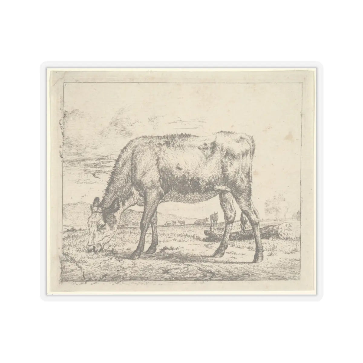 SKU:TSS-STICK-DRNVN-6X6-13RYJ Sizes:6" × 6" Types:Transparent