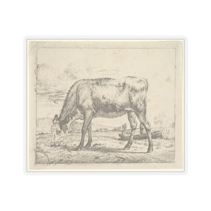 SKU:TSS-STICK-DRNVN-6X6-13RYJ Sizes:6" × 6" Types:Transparent
