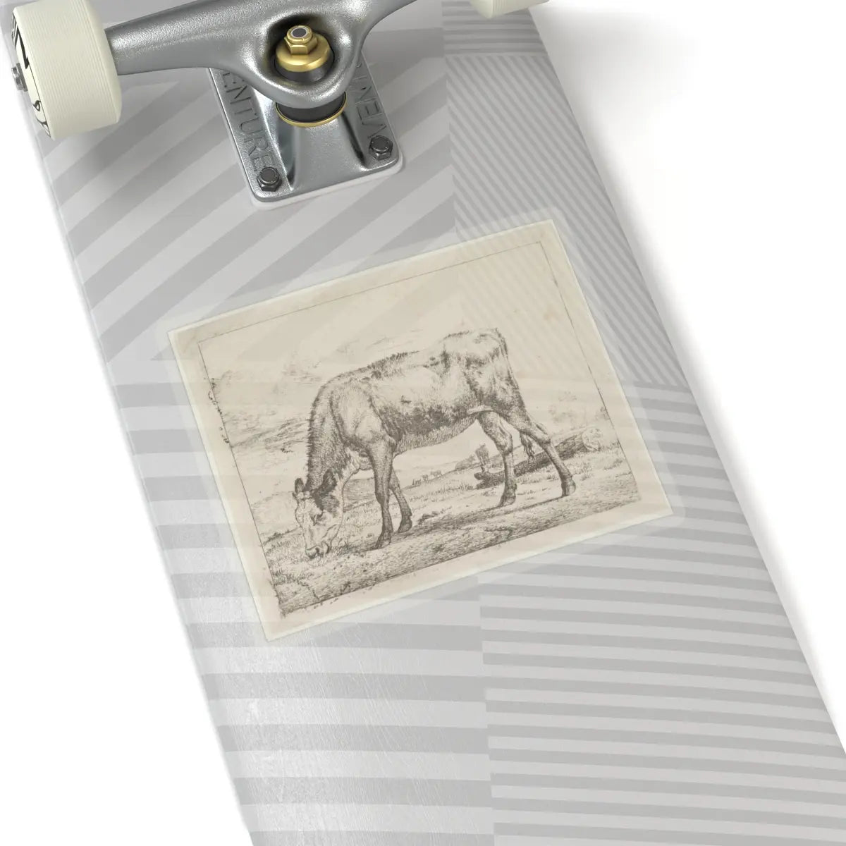 SKU:TSS-STICK-DRNVN-6X6-13RYJ Sizes:6" × 6" Types:Transparent