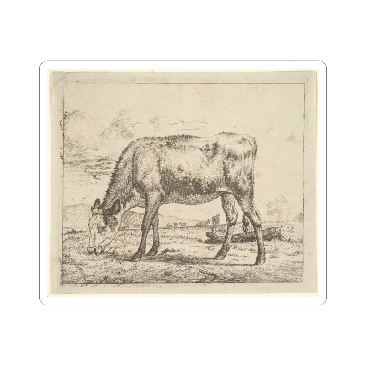 SKU:TSS-STICK-DRNVN-6X6-3 Sizes:6" × 6" Types:White