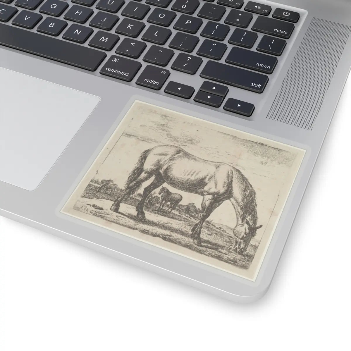 SKU:TSS-STICK-DRNVN-4X4-13RYK Sizes:4" × 4" Types:Transparent