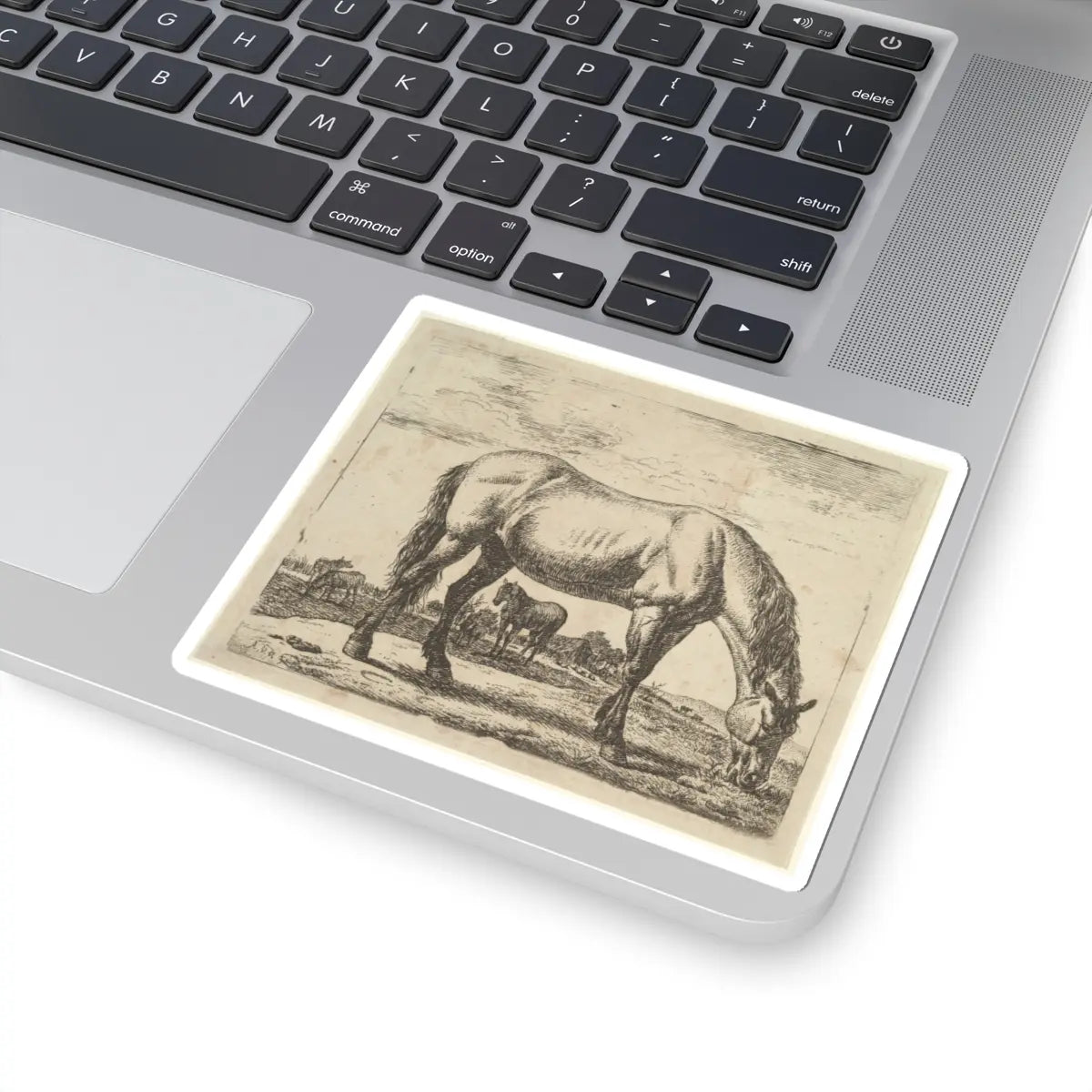 SKU:TSS-STICK-DRNVN-4X4-4 Sizes:4" × 4" Types:White