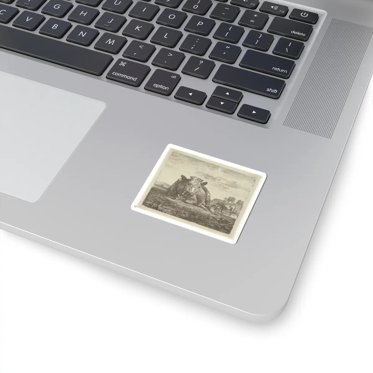 SKU:TSS-STICK-DRNVN-2X2-5 Sizes:2" × 2" Types:White