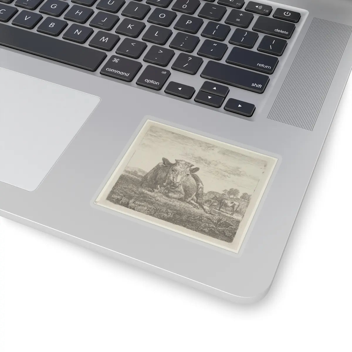 SKU:TSS-STICK-DRNVN-3X3-13RYL Sizes:3" × 3" Types:Transparent