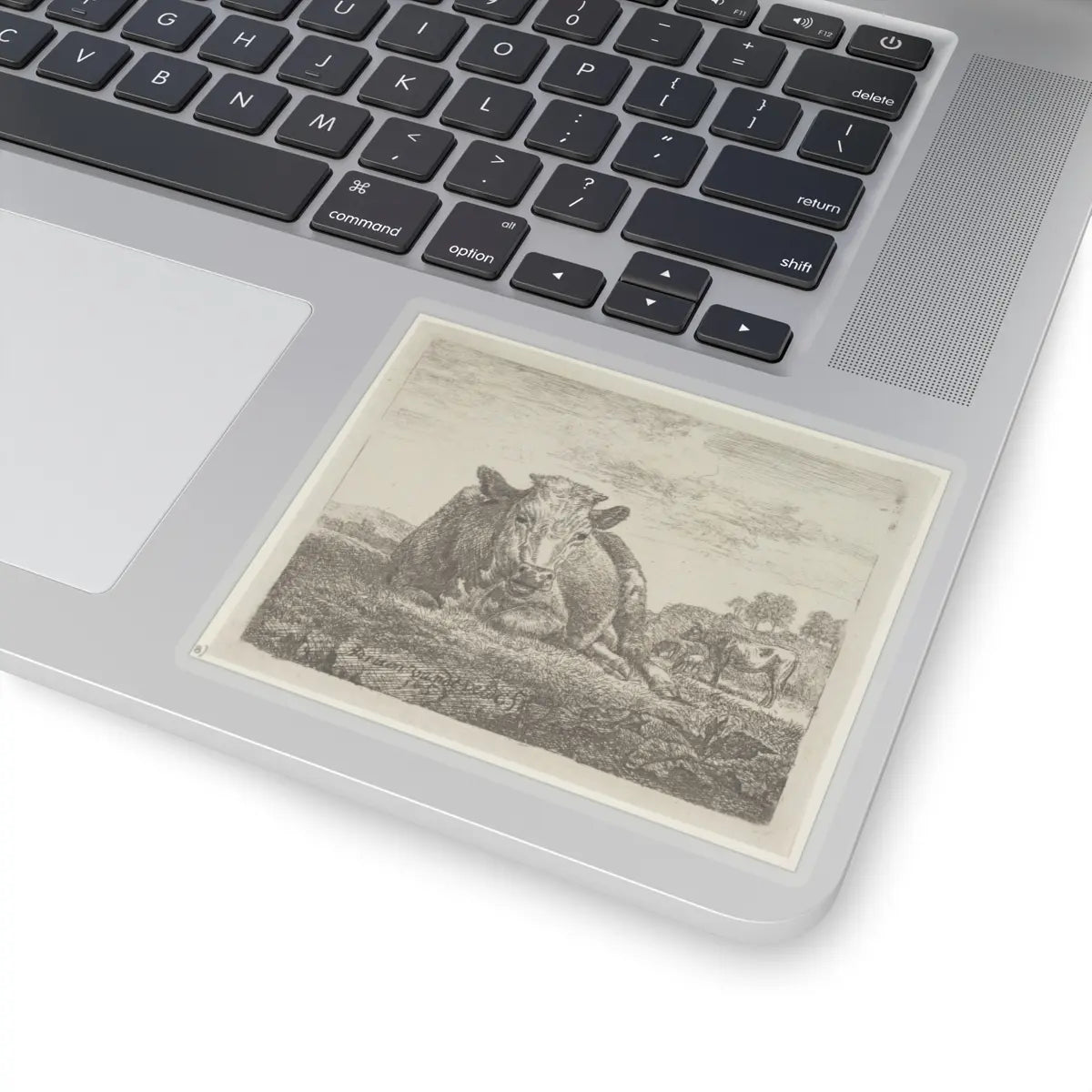 SKU:TSS-STICK-DRNVN-4X4-13RYL Sizes:4" × 4" Types:Transparent