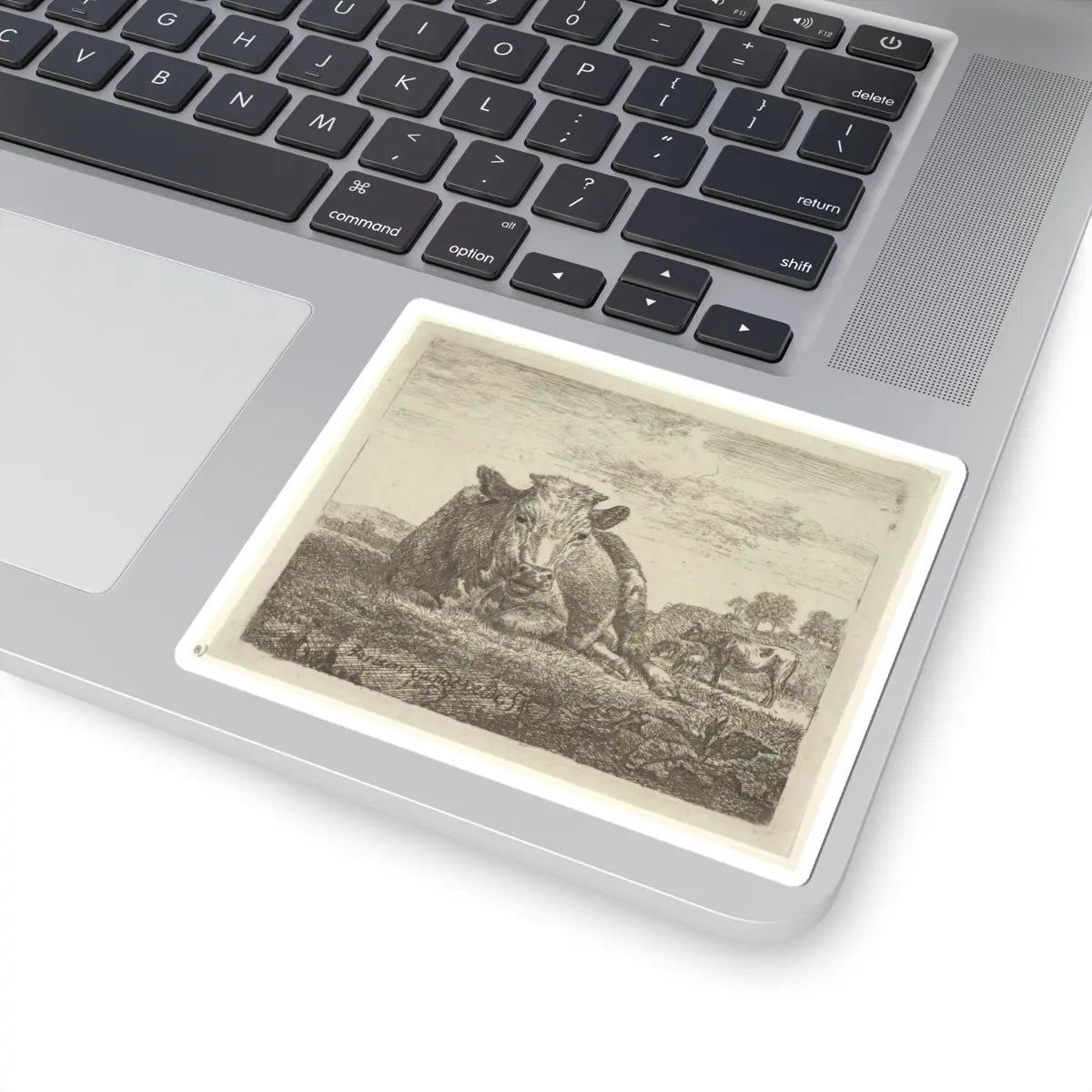 SKU:TSS-STICK-DRNVN-4X4-5 Sizes:4" × 4" Types:White