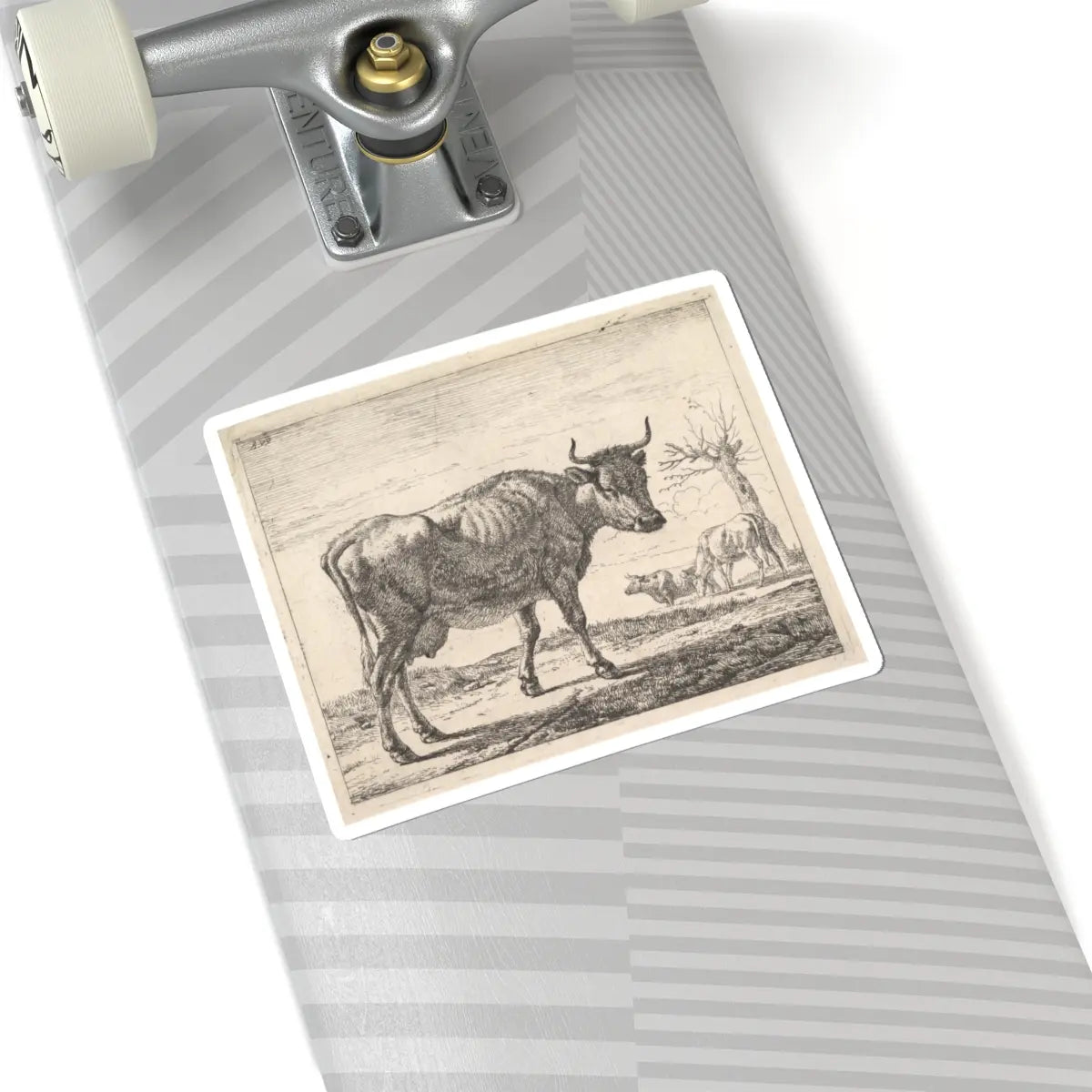SKU:TSS-STICK-DRNVN-6X6-9 Sizes:6" × 6" Types:White