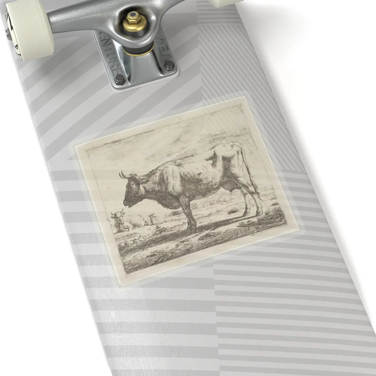 SKU:TSS-STICK-DRNVN-6X6-13RYR Sizes:6" × 6" Types:Transparent