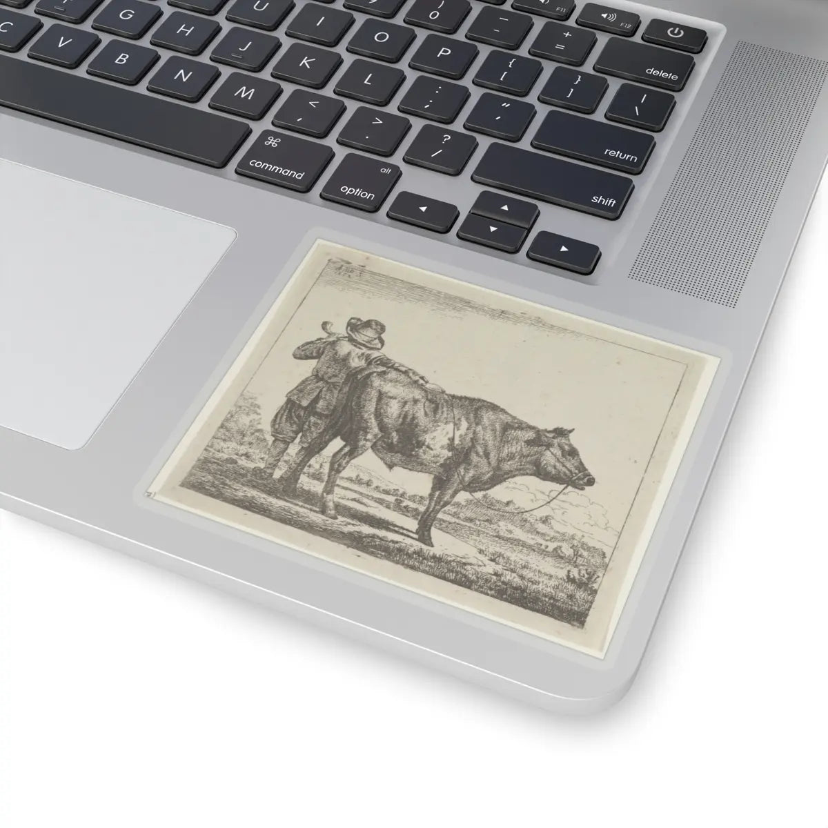 SKU:TSS-STICK-DRNVN-4X4-13RYT Sizes:4" × 4" Types:Transparent