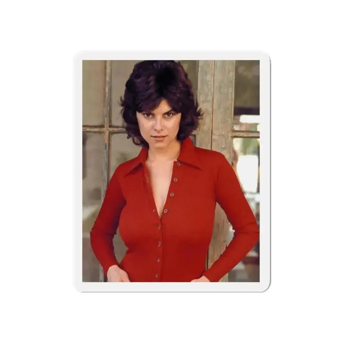 Adrienne Barbeau #74 (Vintage Female Icon) Refrigerator Magnet - The Sticker Space