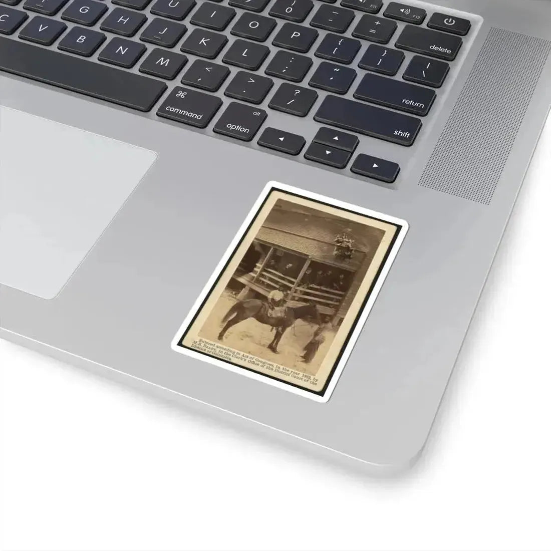 African American Men Tending a Horse (U.S. Civil War) STICKER Vinyl Kiss-Cut Decal - The Sticker Space