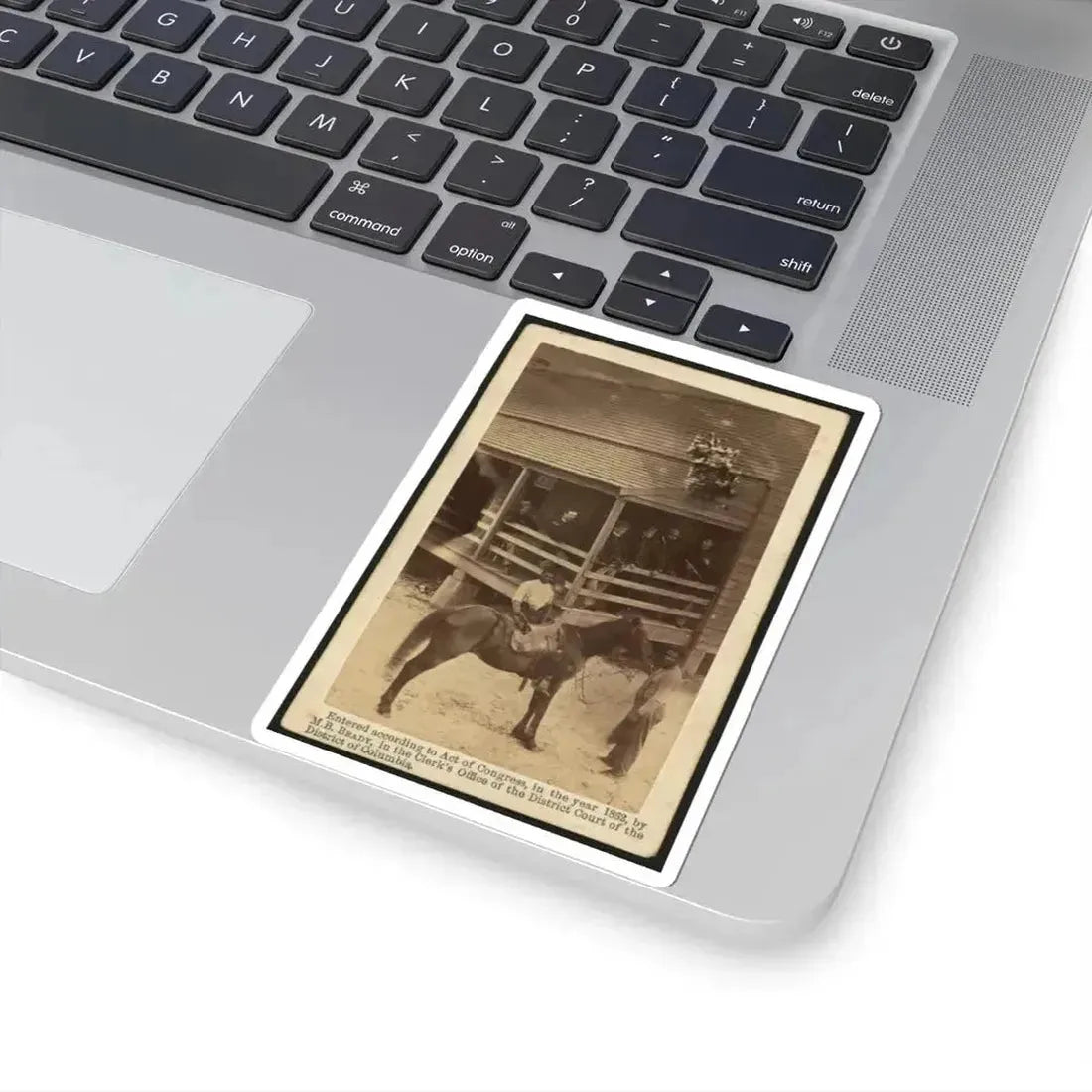 African American Men Tending a Horse (U.S. Civil War) STICKER Vinyl Kiss-Cut Decal - The Sticker Space