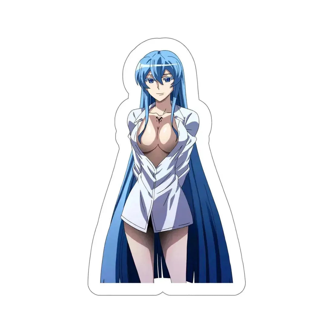 Akame Ga Kill! - Esdeath (Anime/Ecchi/Waifu) STICKER Vinyl Die-Cut Decal 6 Inch - The Sticker Space