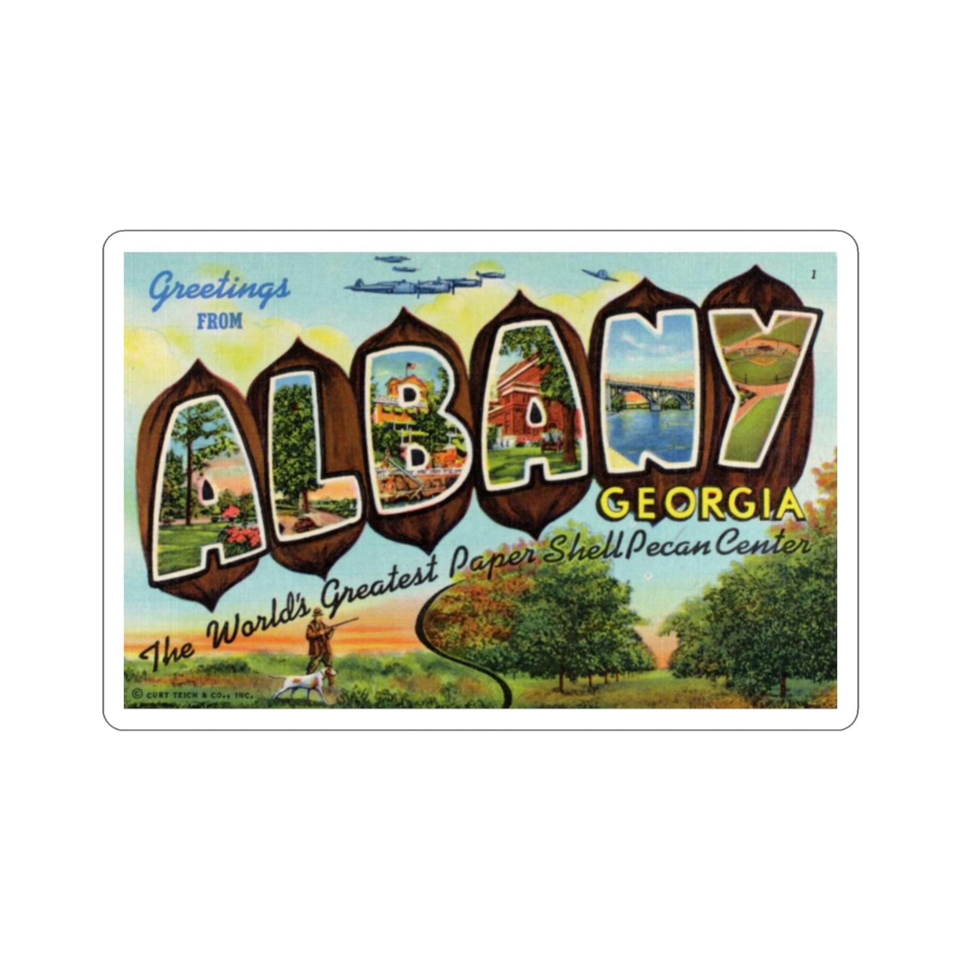 Albany Georgia (Greeting Cards) STICKER Vinyl Die-Cut Decal-2 Inch-The Sticker Space