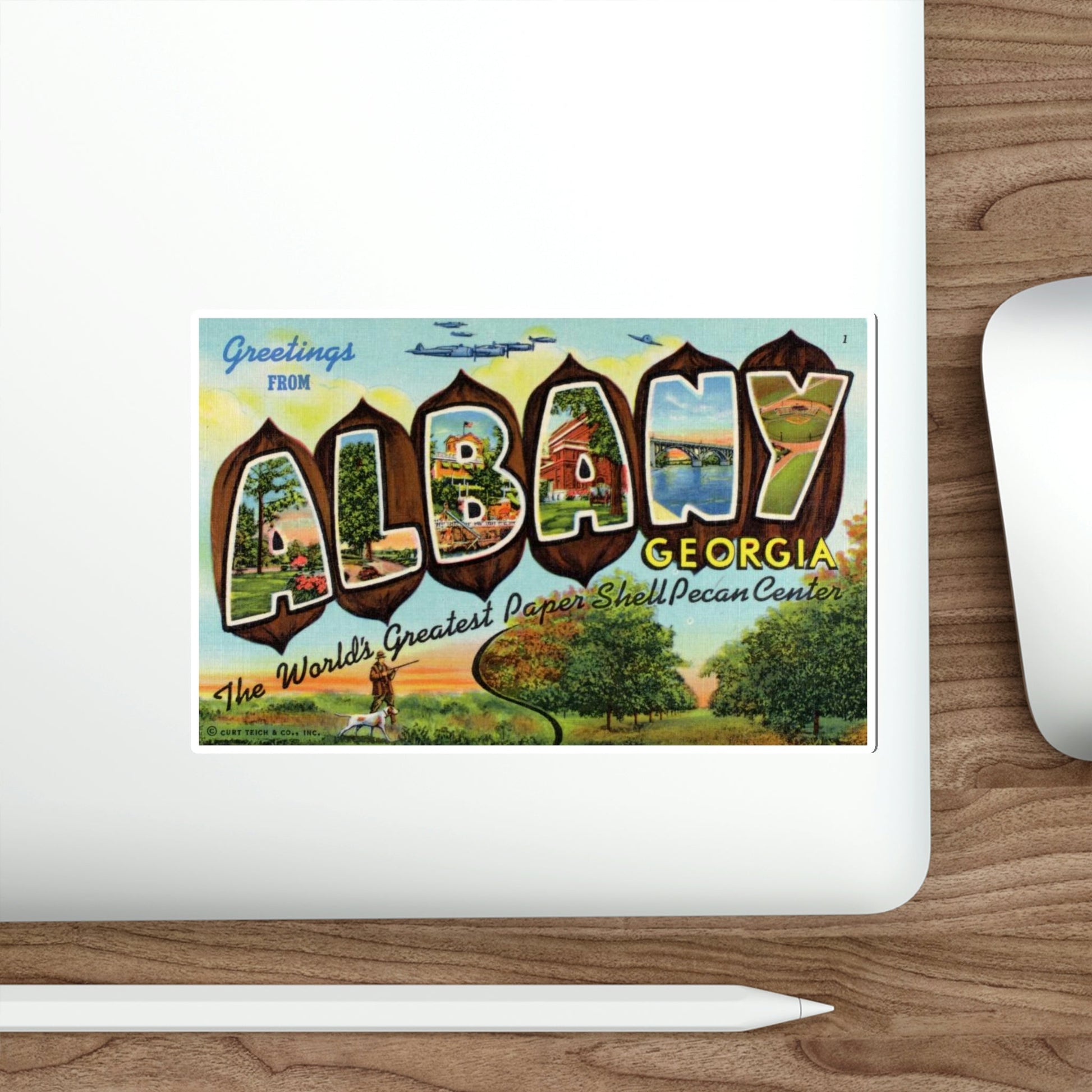 Albany Georgia (Greeting Cards) STICKER Vinyl Die-Cut Decal-The Sticker Space