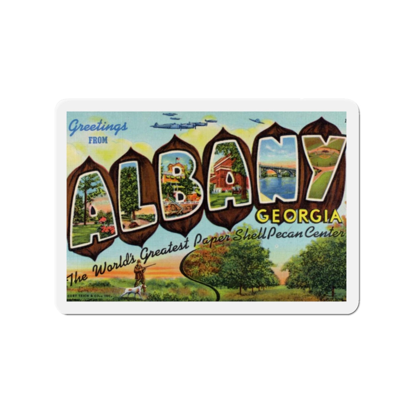 Albany Georgia (Greeting Postcards) Die-Cut Magnet-2" x 2"-The Sticker Space