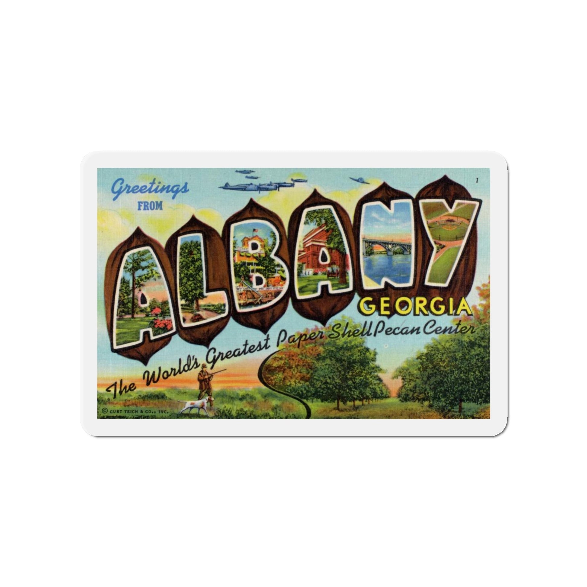 Albany Georgia (Greeting Postcards) Die-Cut Magnet-4" x 4"-The Sticker Space