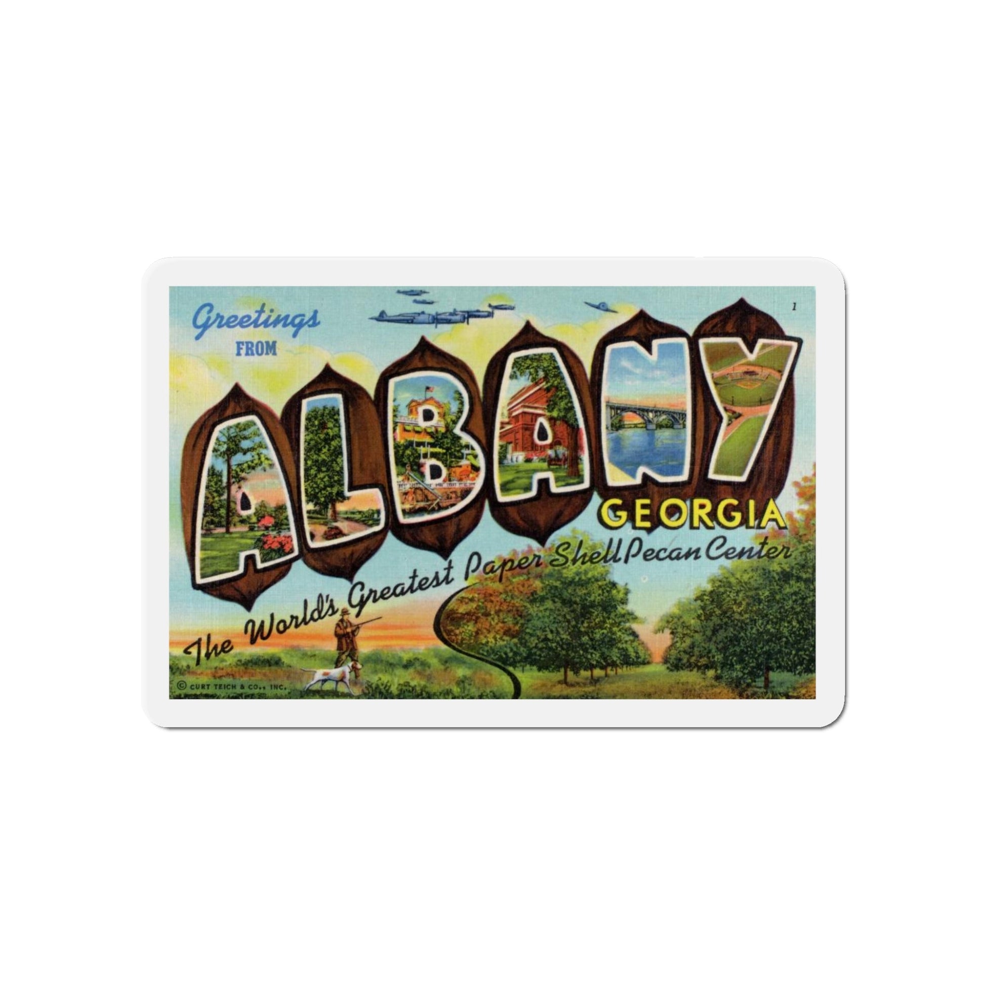 Albany Georgia (Greeting Postcards) Die-Cut Magnet-5" x 5"-The Sticker Space
