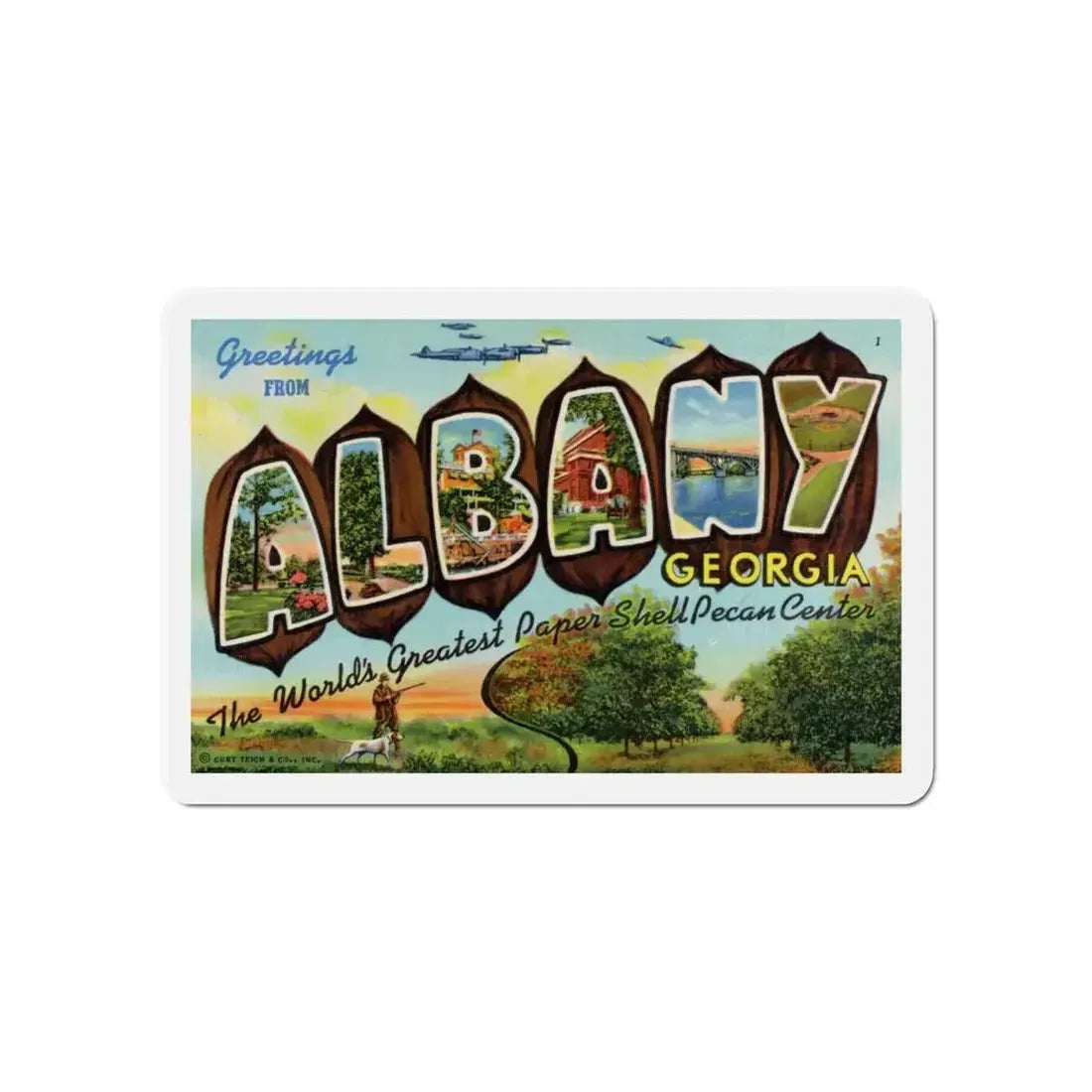 Albany Georgia (Greeting Postcards) Refrigerator Magnet - The Sticker Space