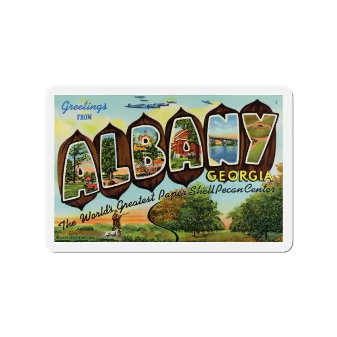 Albany Georgia (Greeting Postcards) Refrigerator Magnet - The Sticker Space