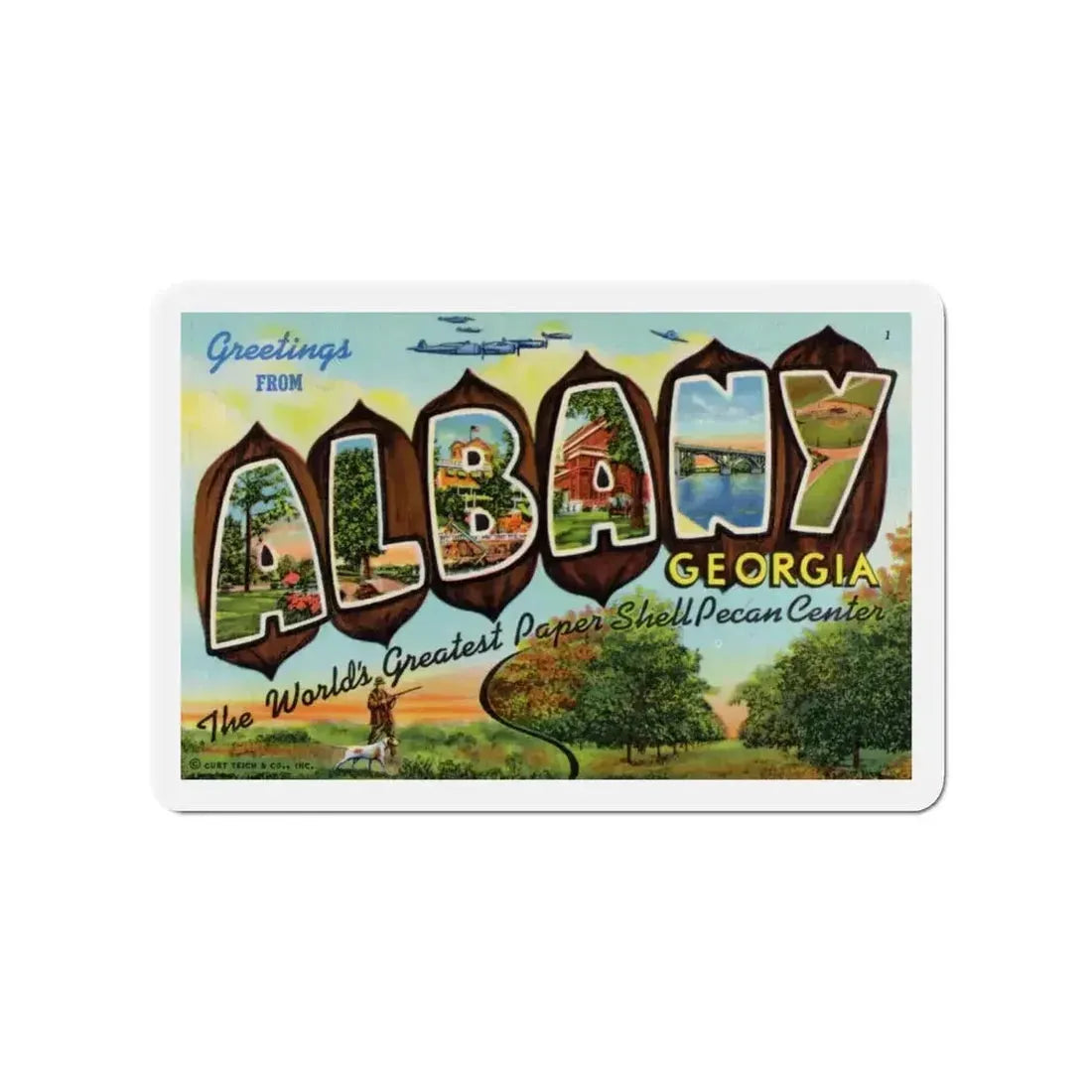 Albany Georgia (Greeting Postcards) Refrigerator Magnet - The Sticker Space