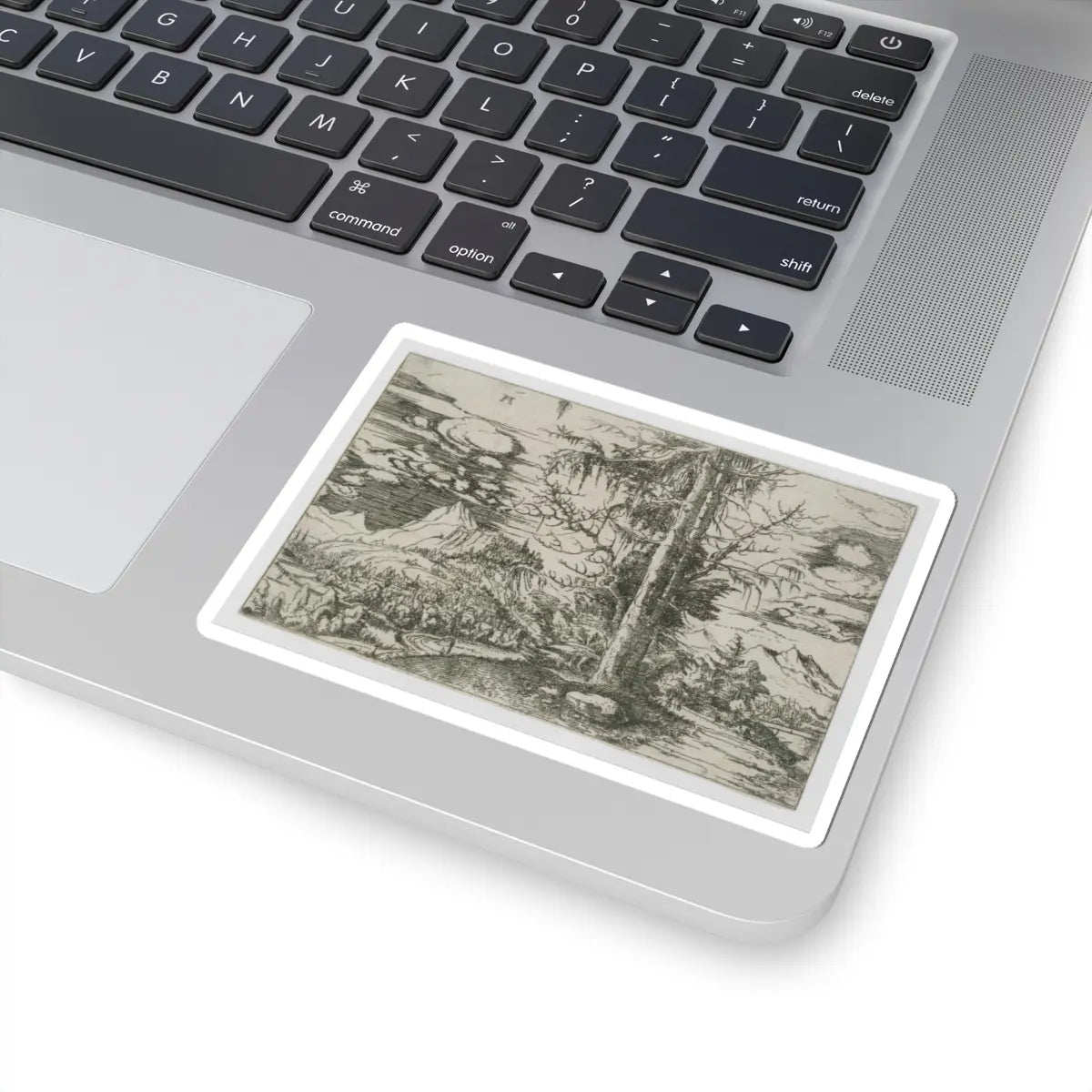 SKU:TSS-STICK-LBRLTD-4X4-51 Sizes:4" × 4" Types:White
