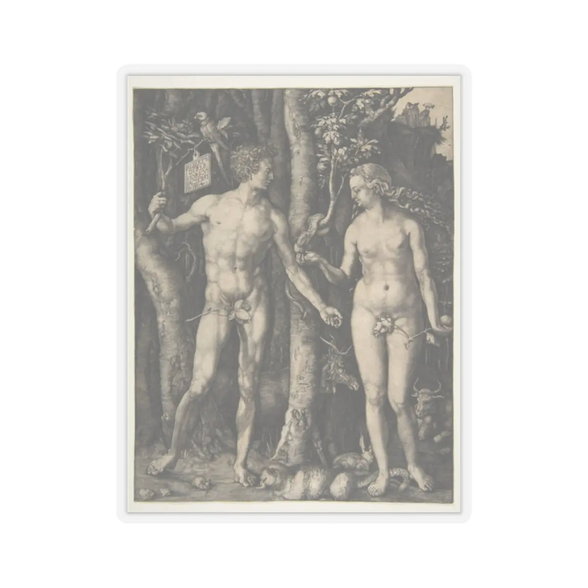SKU:TSS-STICK-LBRDRR-2X2-13SCK Sizes:2" × 2" Types:Transparent