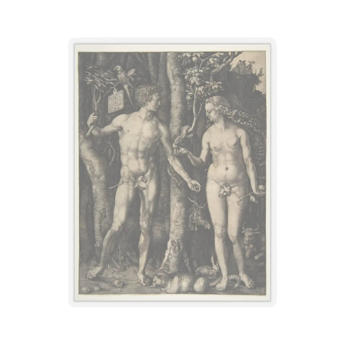SKU:TSS-STICK-LBRDRR-4X4-13SCK Sizes:4" × 4" Types:Transparent