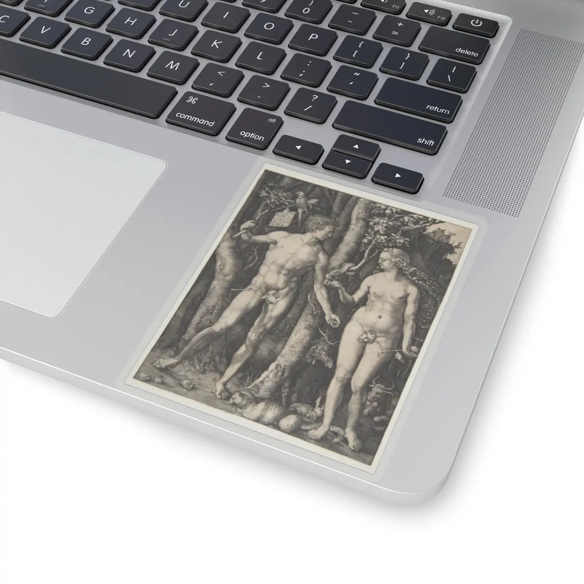 SKU:TSS-STICK-LBRDRR-4X4-13SCK Sizes:4" × 4" Types:Transparent