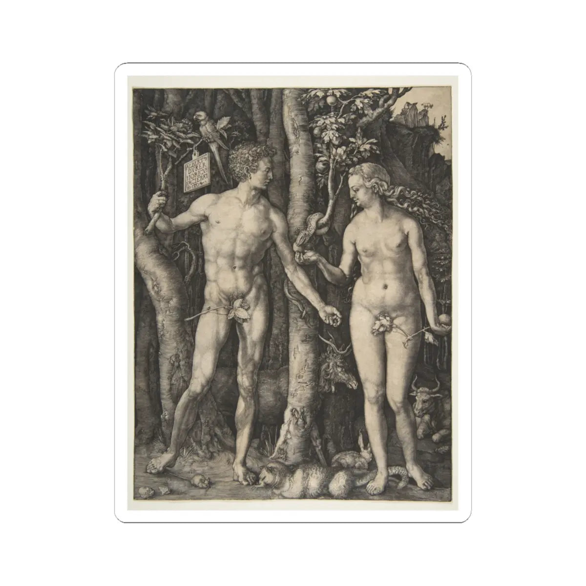 SKU:TSS-STICK-LBRDRR-6X6-9 Sizes:6" × 6" Types:White