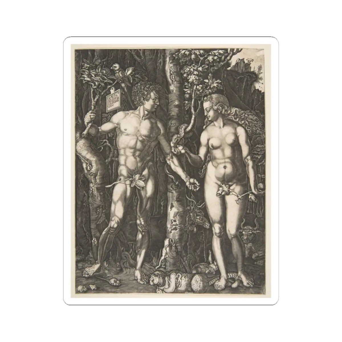 SKU:TSS-STICK-LBRDRR-4X4-10 Sizes:4" × 4" Types:White