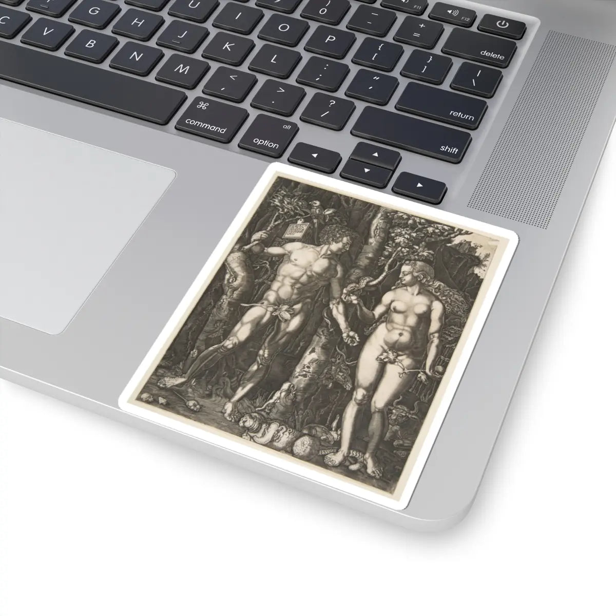 SKU:TSS-STICK-LBRDRR-4X4-10 Sizes:4" × 4" Types:White
