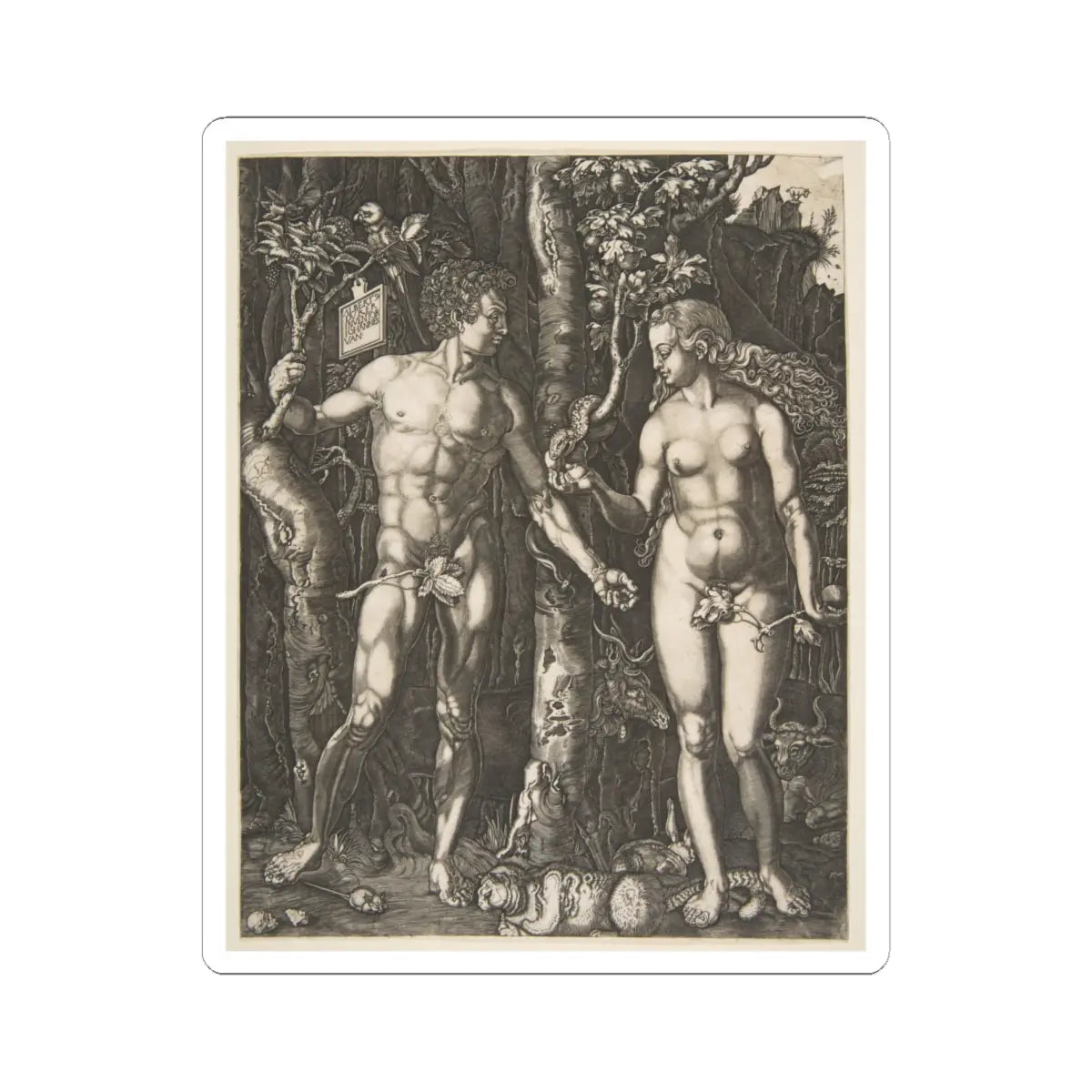 SKU:TSS-STICK-LBRDRR-6X6-10 Sizes:6" × 6" Types:White