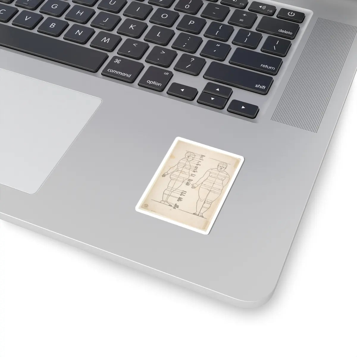 SKU:TSS-STICK-LBRDRR-2X2-179 Sizes:2" × 2" Types:White