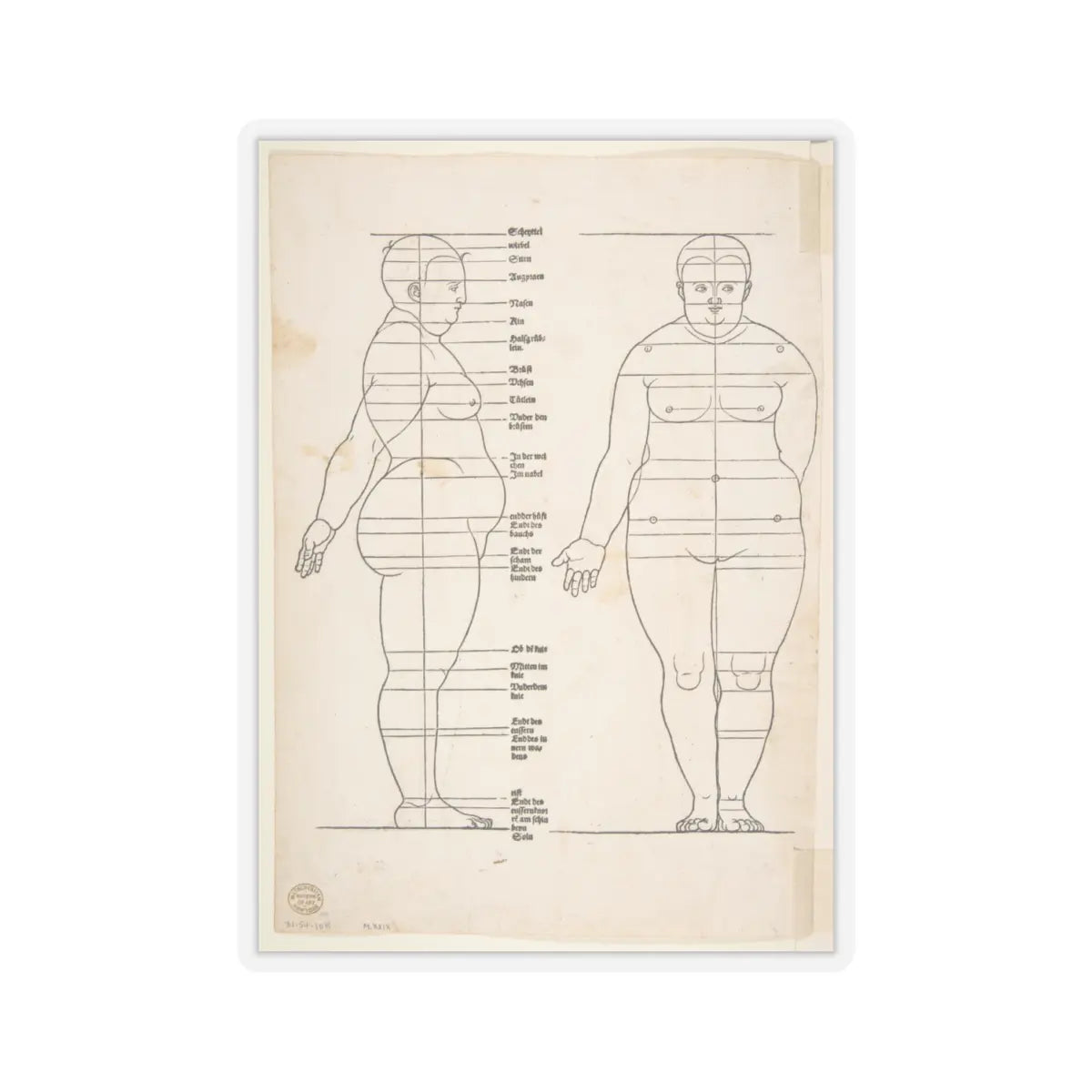 SKU:TSS-STICK-LBRDRR-4X4-13SHA Sizes:4" × 4" Types:Transparent